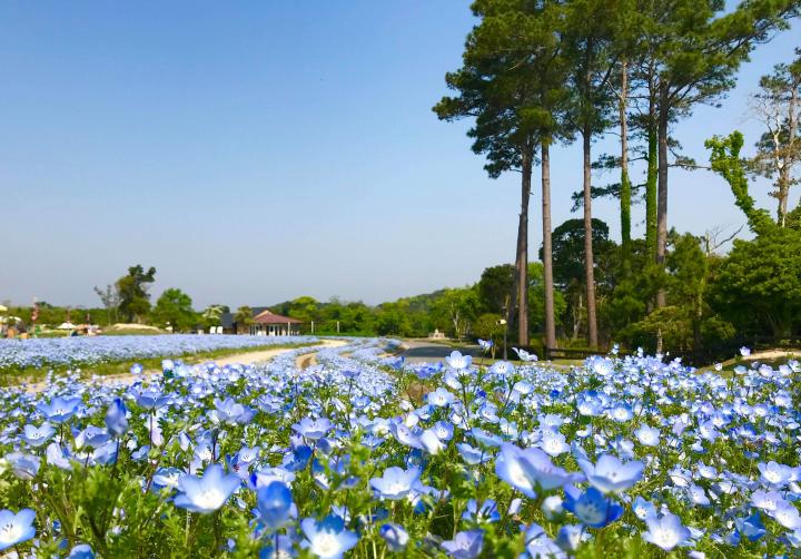 Peter Rabbit™ Flower Photo Campaign