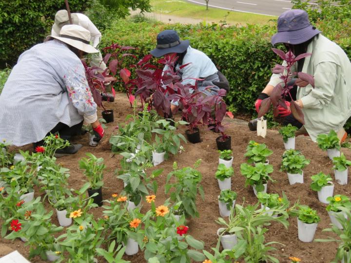 A hands-on course on plant growing and design for landscape gardening leaders