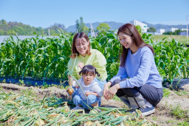 Onion harvesting experience (natural circulation experience event)