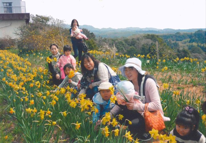 Trumpet daffodil picking and bamboo craft experience