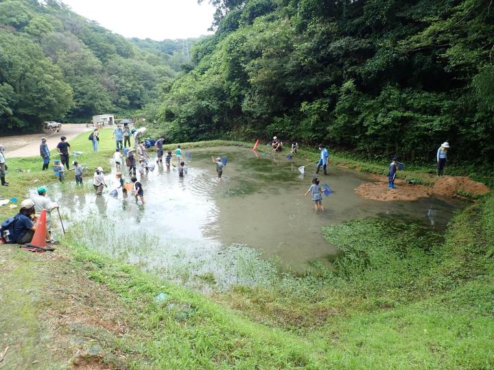 いきものたんぼの展示