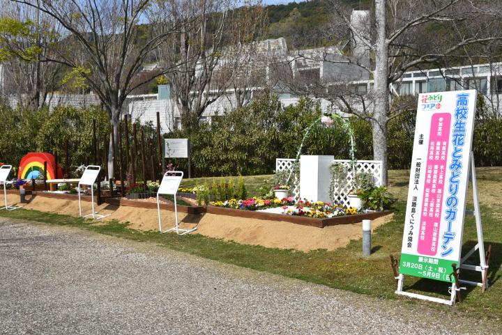 High School Flower and Green Garden