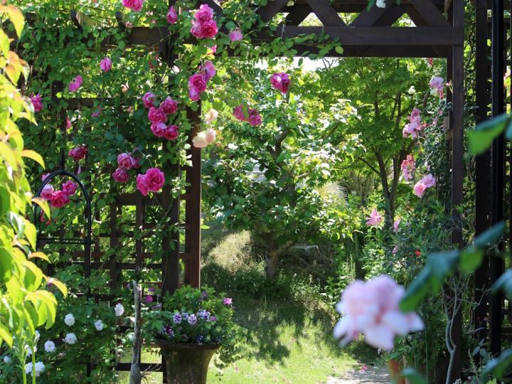 Awaji Open Garden