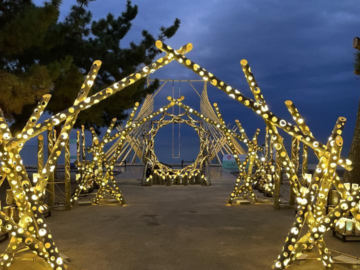 Bamboo light art using abandoned bamboo forests - A bamboo symphony decorated with water and light -