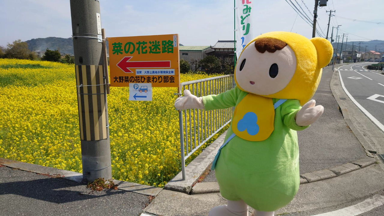 大野地区菜の花迷路　オープニングイベント