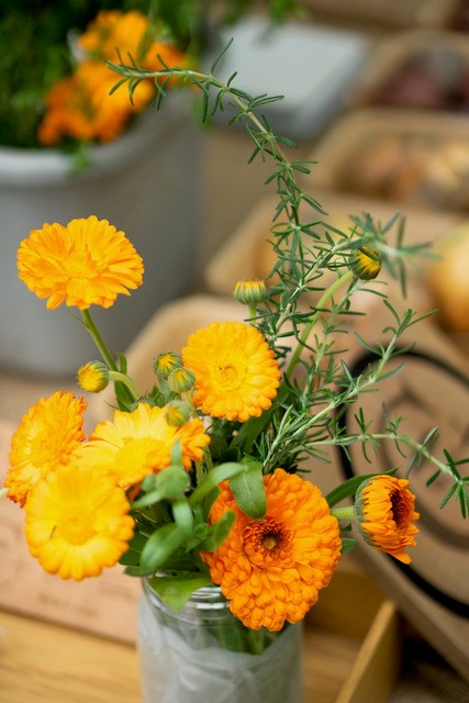 Edible herb = Calendula ❁ "Cultivation class"