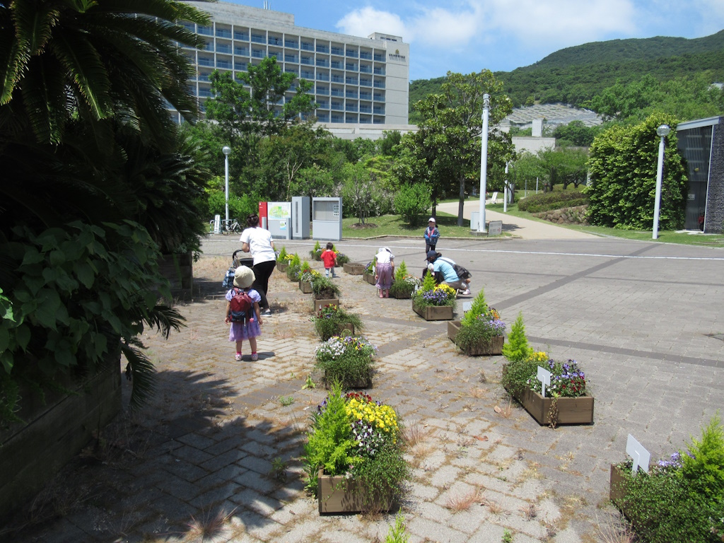 Family-friendly planting experience and exhibition