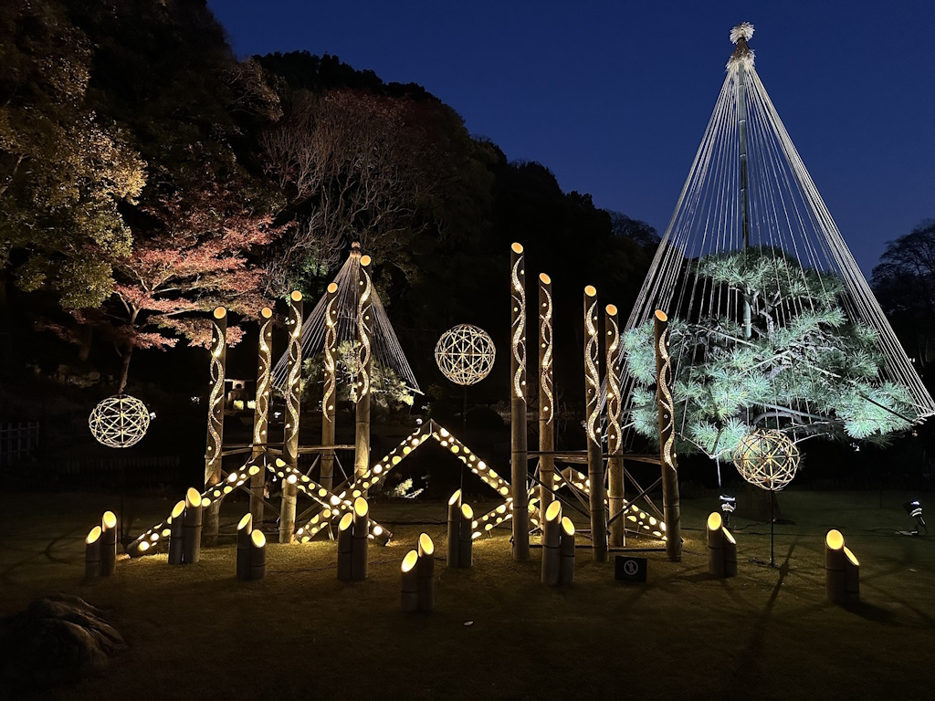 Bamboo light art using abandoned bamboo forests - A bamboo symphony decorated with water and light -