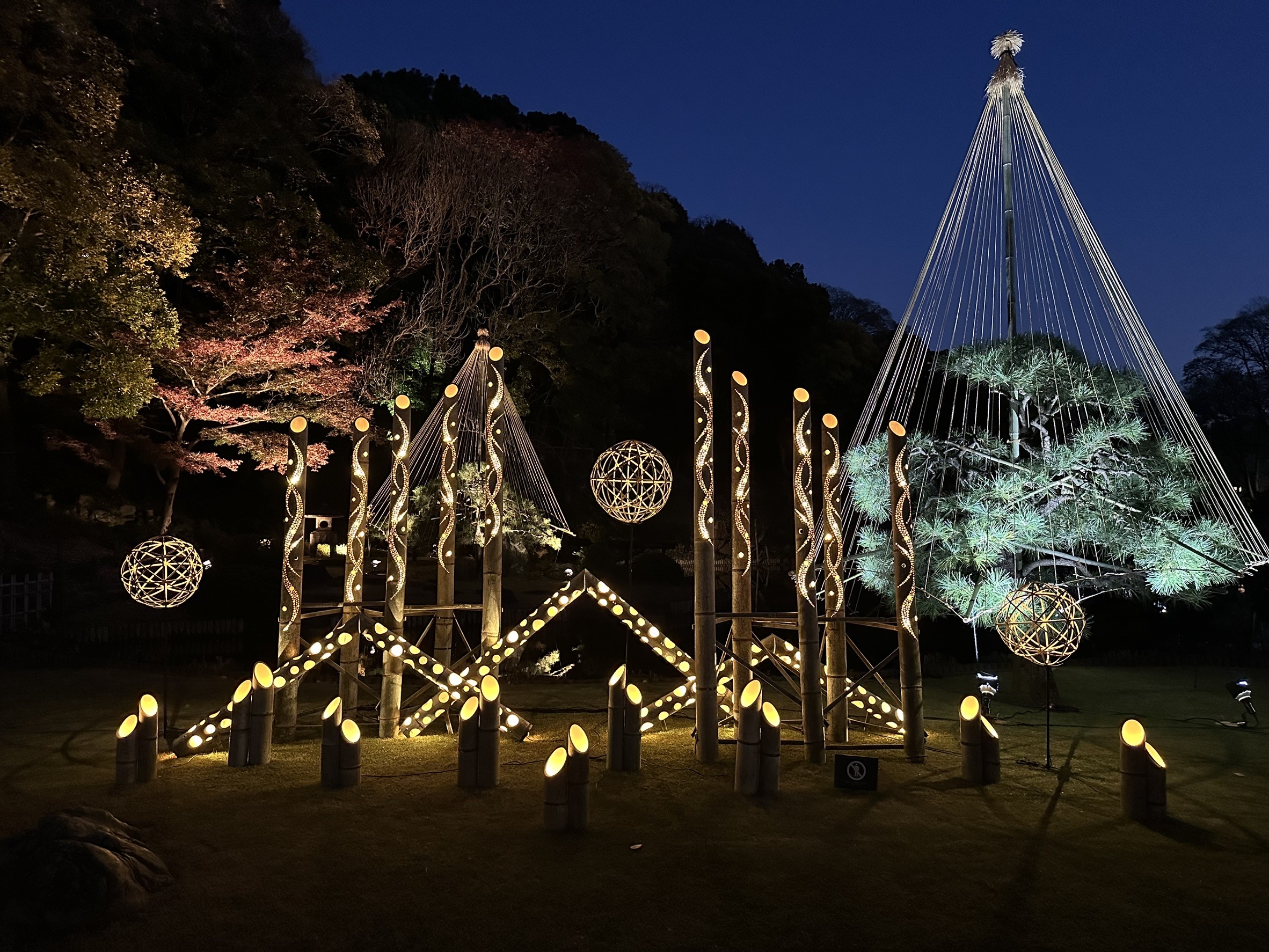 Bamboo light art using abandoned bamboo forests - A bamboo symphony decorated with water and light -