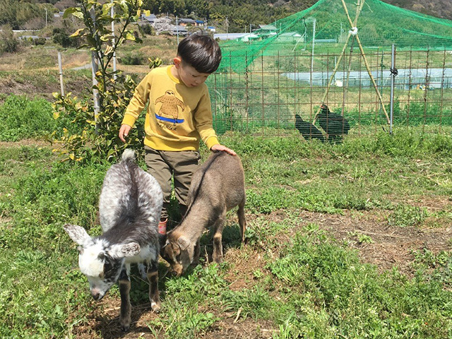 i Farm野道農場