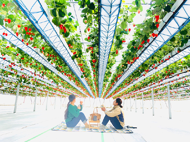 GREENARIUM awajishima(グリナリウム淡路島)