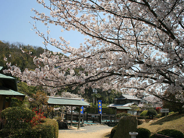 靜之裡公園