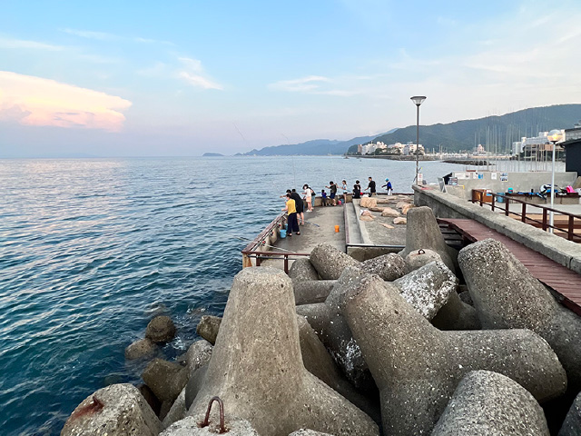 阿瓦馆（原淡路岛观光酒店）