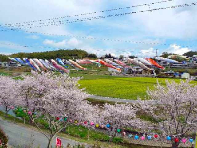 Mitakara Park