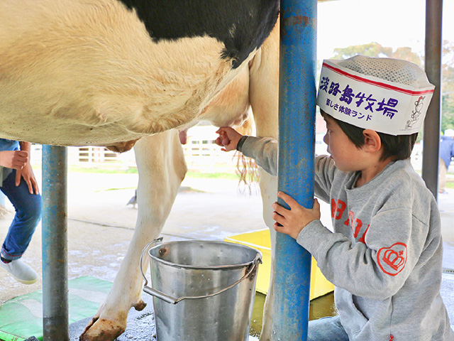 Awajishima Ranch