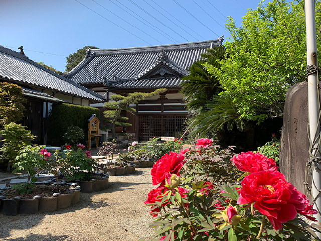 国清禅寺