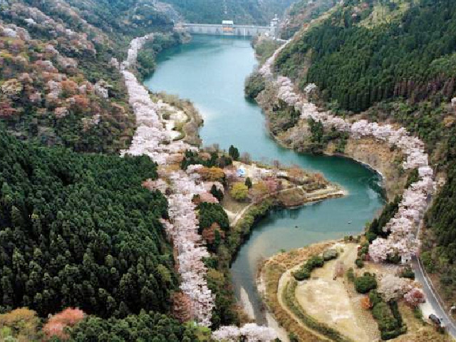 Yuzuruha Dam and Rest Area